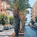 Azur Locos تورّيفيِخا